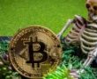 Bakın 2018’de Bitcoin’i Kaç Kez Öldürdüler